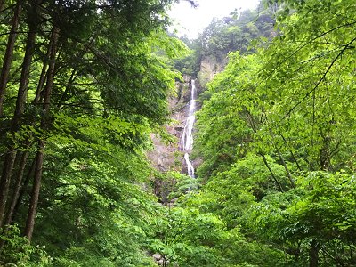 結構な落差の琵琶滝