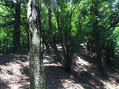 階段を登ってスタート