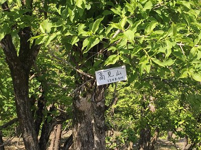 こんなプレート発見