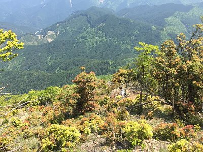 登りもだったけど母のスピードが速い