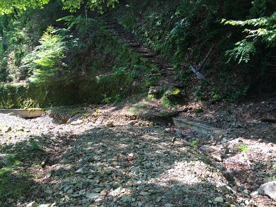 1年前は奥駆からここに降りてきたなぁ～でも今日はさらに林道を歩きます