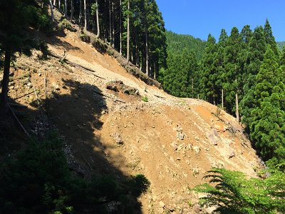 崩壊場所の全容・・・すごい崩れ方だ