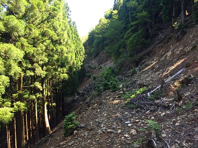 ここもかなり酷い崩れ方