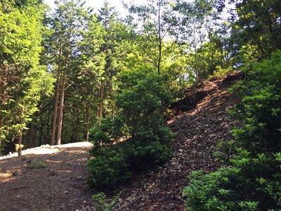 ここから入山して尾根を登る