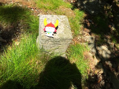 今日から参加のひこにゃんで撮影