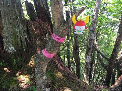 高塚山（1363.6m）記念撮影もひこにゃんがイケ！