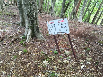 ここで昔の標識が残っていた。昔は登山道だったんだね
