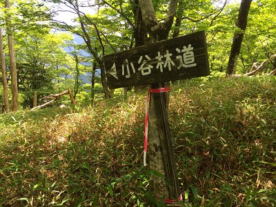 小谷林道という道だったのか