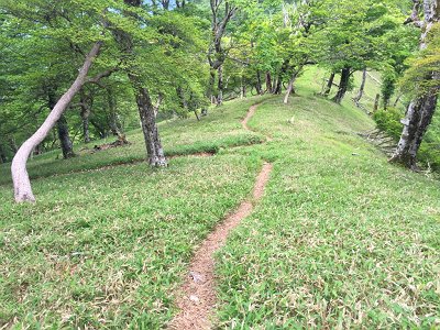 ここで奥駆との出合い