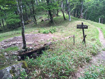 ここが本当の一の垰らしいけど、漢字は一ノ多和なのね