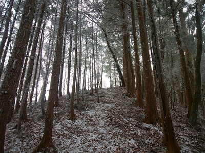 稜線（尾根）が見えた