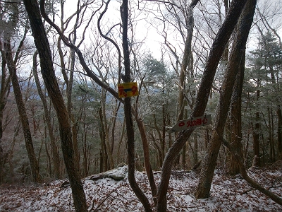 ここで天和山の稜線（尾根）と合流。地図上では1183のピーク。（右）西側へいくと滝山、（左）東側へいくと天和山。滝山もいってみたかったけどねえ