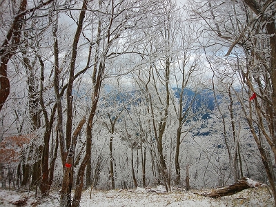 霧氷が素晴らしい。青空がでてくれればなぁっと思いながら歩いていく