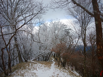 ちょっと地面の雪の量も増えてきた