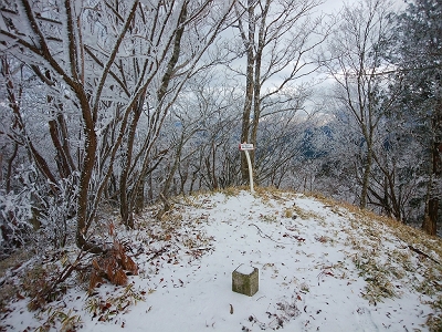 天和山の山頂が見えた。三角点もある