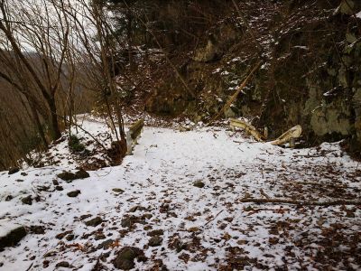 ところどころ雪が積もっているところがある。それにしても相変わらず長い林道だ