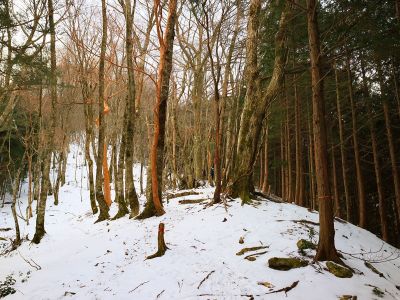 尾根に出た。ここでアイゼンを装着してちょっと休憩。ここからが急登になるんよね