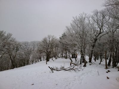 いつもはガスって何も見えなかったけど、天女の舞付近ってこんな広い場所なんだね