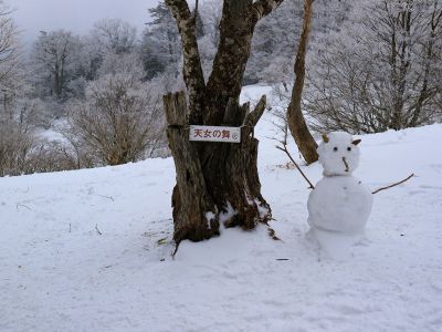 今回初めて見つけた天女の舞の看板。雪ダルマは誰が作ったんだろうか
