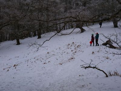 帰りはP1518経由で下ることにした。この登りも結構しんどいんだよね