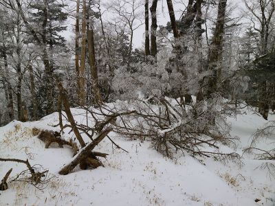 ここの景色も青空さえあれば最高なんだろうな。まあでも、今回はこれでいいや