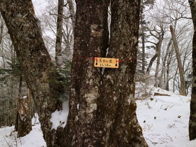 P1518は天女の頂という名称を付けられていた。前こんな看板なかったのに、誰が設置したんだろうか！？