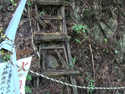 トラロープしているが、ここが入山口