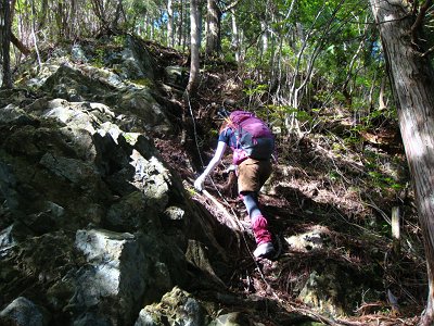 尾根を無理矢理登っている感あり