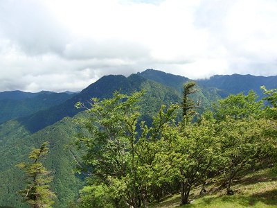 稲村ヶ岳とガスで隠れている部分が山上ヶ岳