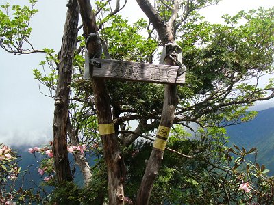 鉄山(1563m)に到着。看板がなくなっていた。