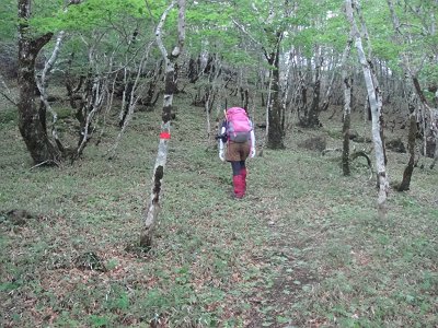 ここから雰囲気が変わる
