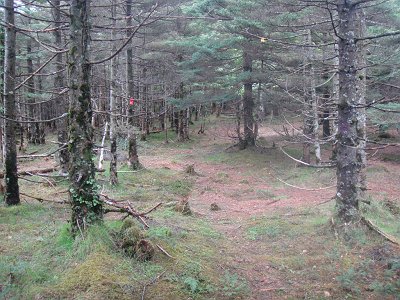 さらに雰囲気が変わる