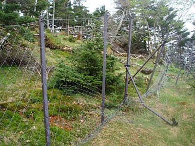 ここ破けているところから弥山の裏側に出ることにした