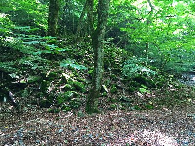 さてここからトサカ尾根に登ります