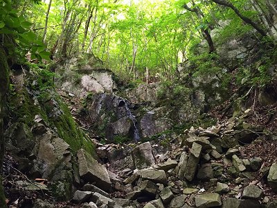 ここは右へ登り左へ