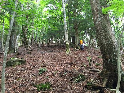 尾根からトサカ尾根は標高50mほどですぐつく