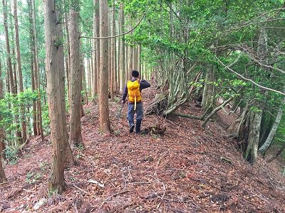 戻り、トサカ尾根を歩く