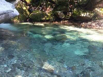 ここの段階で沢の水が綺麗
