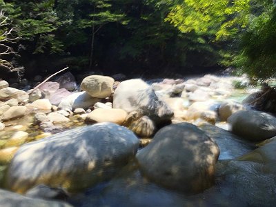 最初はなだらかなところを遡行していく