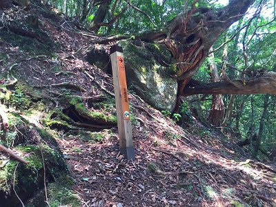 垢離取場に到着