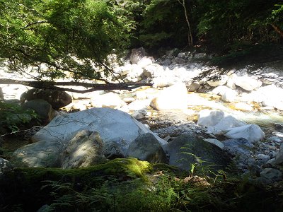 北股川分岐まで降りて、ここから入渓